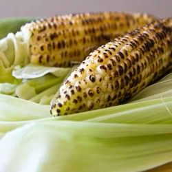 Roasted Corn