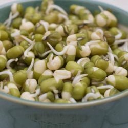 Mung bean sprouts in a bowl