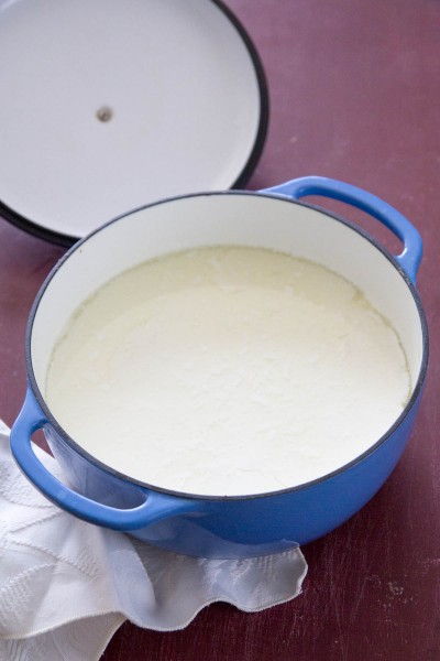 Making Yogurt at Home is Easy. How to at Indiaphile.info