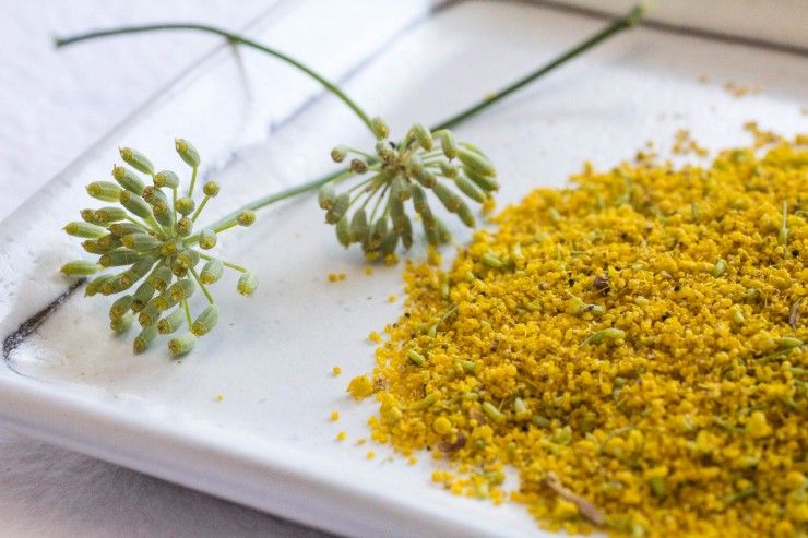 Fennel Pollen by Indiaphile.info
