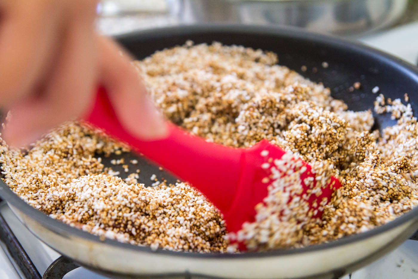 Amaranth Brittle (Rajgira ni Chikki) - Indiaphile