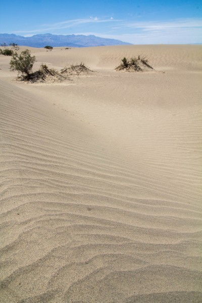 Mesquite Flat Sand Dunes, Death Valley, CA