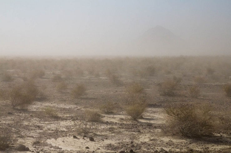 China Ranch Date Farm