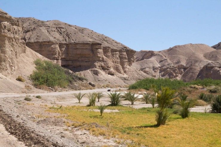 China Ranch Date Farm