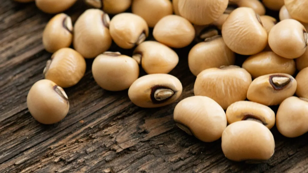 Close up of chawli, or black-eyed peas, a type of cowpea
