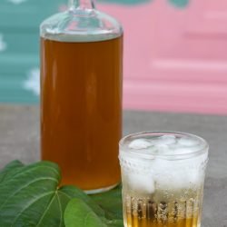 Paan cordial with a paan liqueur soda drink in foreground