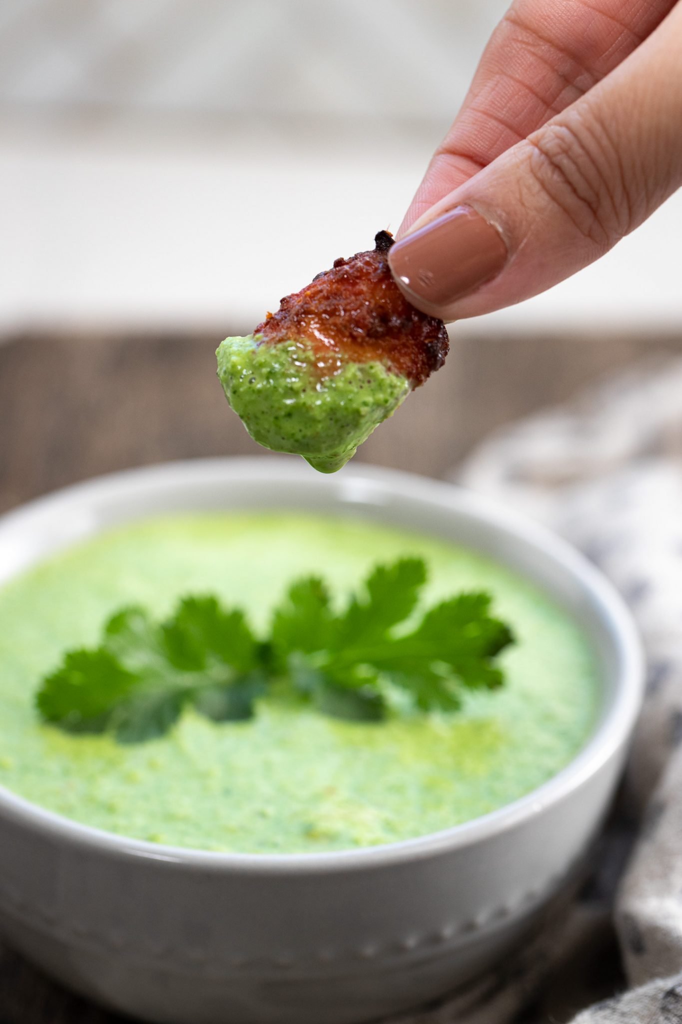 Cilantro Yogurt Chutney Indiaphile