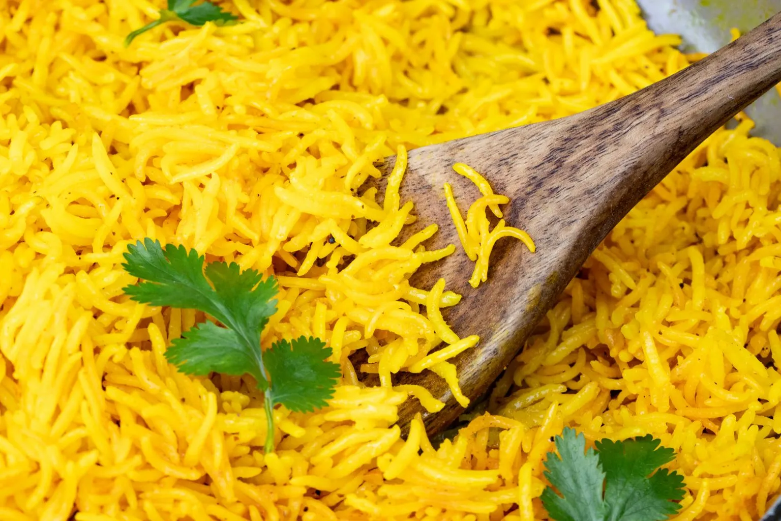 Easy Garlic Turmeric Rice - Indiaphile