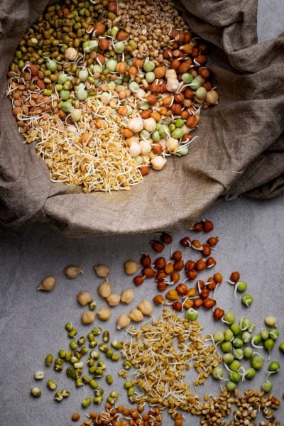 Mix of sprouted beans