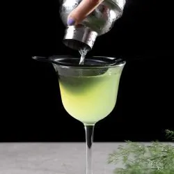 Fennel gin cocktail