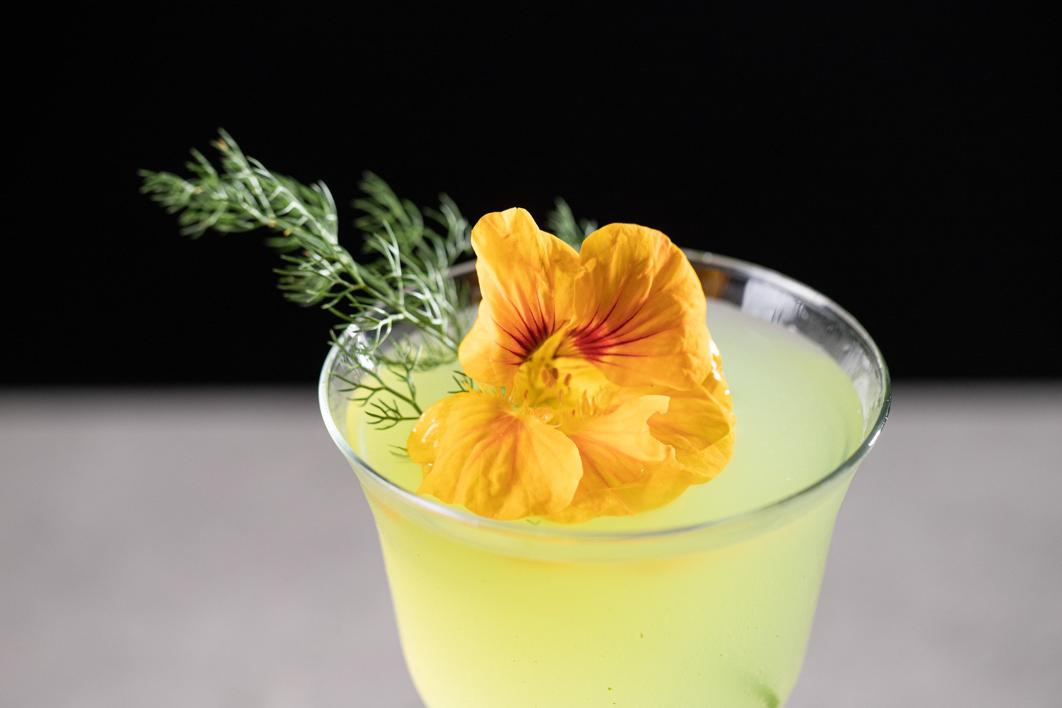 Fennel Cocktail Indiaphile