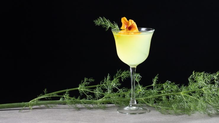 Fennel cocktail