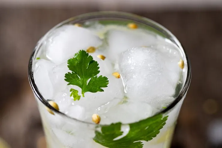 Close up of the top of a cilantro gin and tonic.
