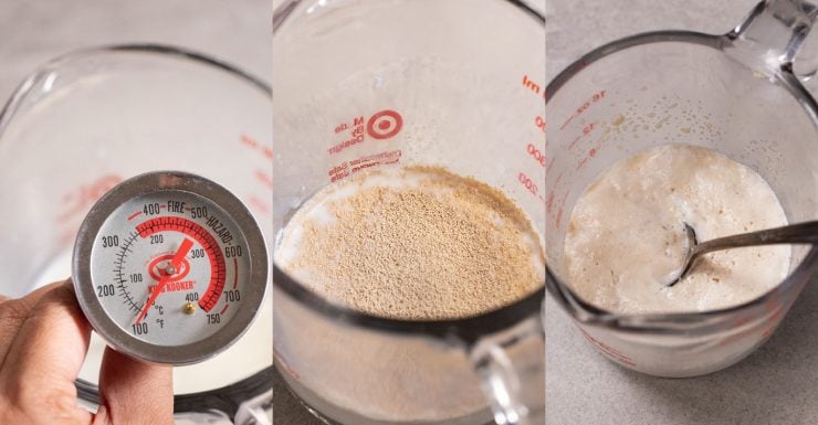 Step 1: bloom the yeast