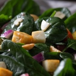 Warm spinach and paneer salad